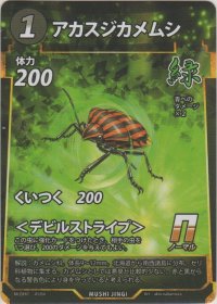 アカスジカメムシ