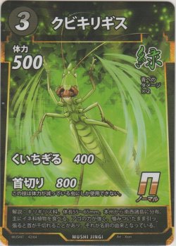 画像1: クビキリギス