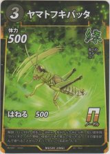 ヤマトフキバッタ