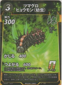 ツマグロヒョウモン（幼虫）