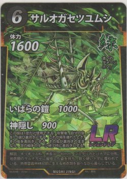 画像1: サルオガセツユムシ