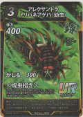 アレクサンドラトリバネアゲハ（幼虫）