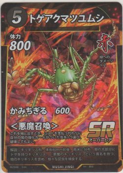 画像1: トゲアクマツユムシ