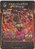 イエロージャイアントヒヨケムシ