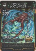 インペラトールホソアカクワガタ