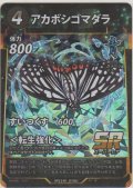 アカボシゴマダラ