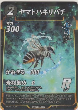画像1: ヤマトシロアリソルジャーハキリバチ