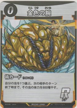 画像1: 金色の腕