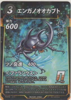 画像1: エンガノオオカブト