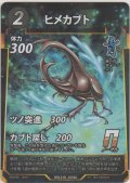 ヒメカブト