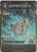 ヒメウラナミジャノメ