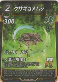 クサギカメムシ