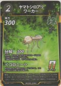 ヤマトシロアリワーカー