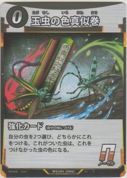 画像1: 玉虫の色真似巻