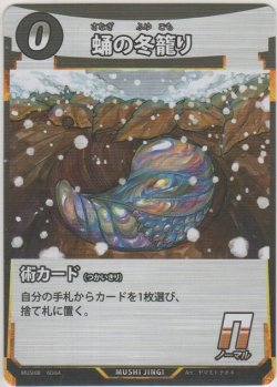 画像1: 蛹の冬籠り