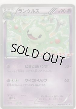 画像1: ランクルス