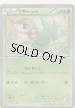 画像1: ツタージャ