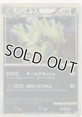バンギラス≪キラ≫