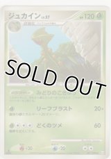 ジュカイン LV.57