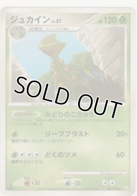 ジュカイン LV.57