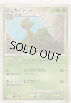 画像1: ジュカイン LV.57