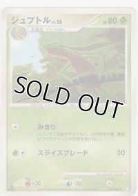 ジュプトル LV.28