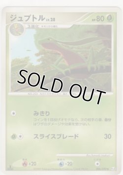 画像1: ジュプトル LV.28