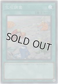 化石調査【スーパーレア】