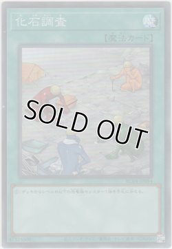 画像1: 化石調査【スーパーレア】