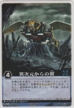 画像1: 異次元からの翼