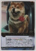 デンジ犬アイシー