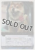 デンジ犬アイシー
