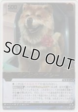 デンジ犬アイシー