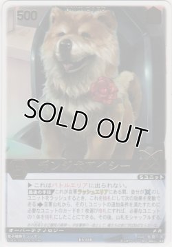 画像1: デンジ犬アイシー