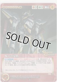 騎士の覚悟