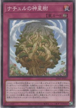 画像1: ナチュルの神星樹【ノーマル】