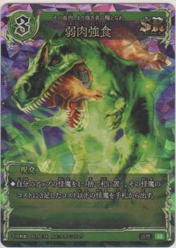 画像1: 弱肉強食