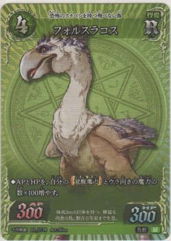 画像1: フォルスラコス