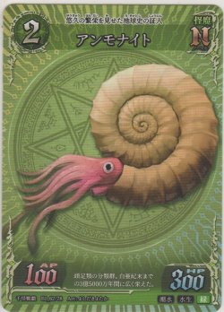 画像1: アンモナイト