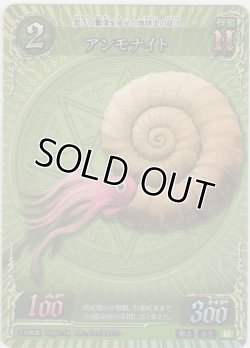 画像1: アンモナイト