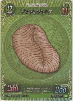 画像1: ディッキンソニア