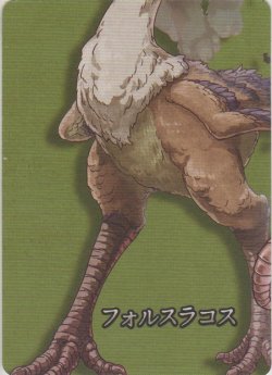 画像1: フォルスラコス≪パズル≫