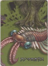 アノマロカリス≪パズル≫