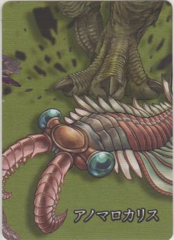 画像1: アノマロカリス≪パズル≫