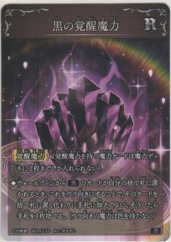 画像1: 黒の覚醒魔力