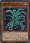 捕食植物セラセニアント【ノーマル】