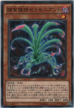 画像1: 捕食植物セラセニアント【ノーマル】