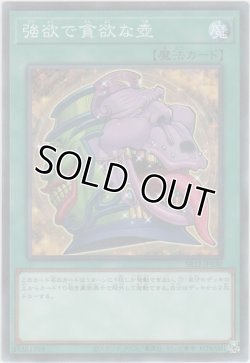 画像1: 強欲で貪欲な壺【ノーマルパラレル】