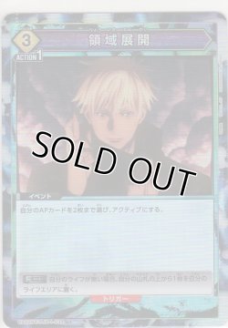 画像1: 領域展開≪パラレル≫