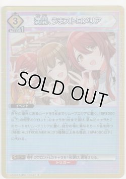 画像1: 【UA04BT/IMS-1-032 R】満開、うまストロメリア